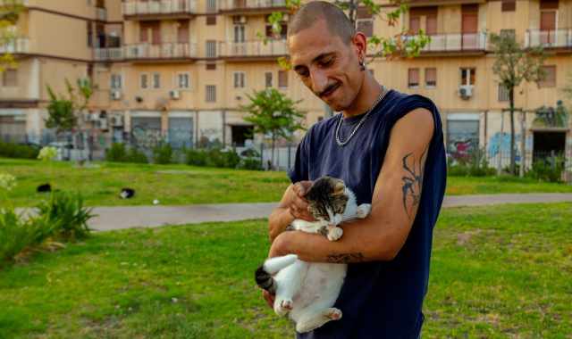 La storia di Vanny, il giovane barese che corre a salvare i gatti in pericolo 